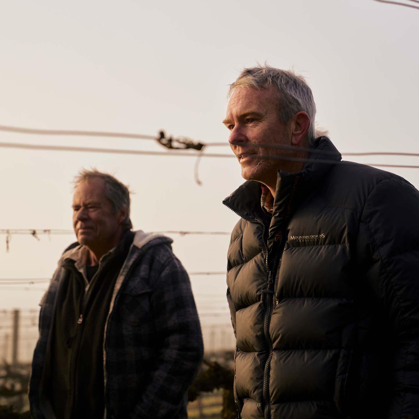 Zonzo Team Vineyard Crew