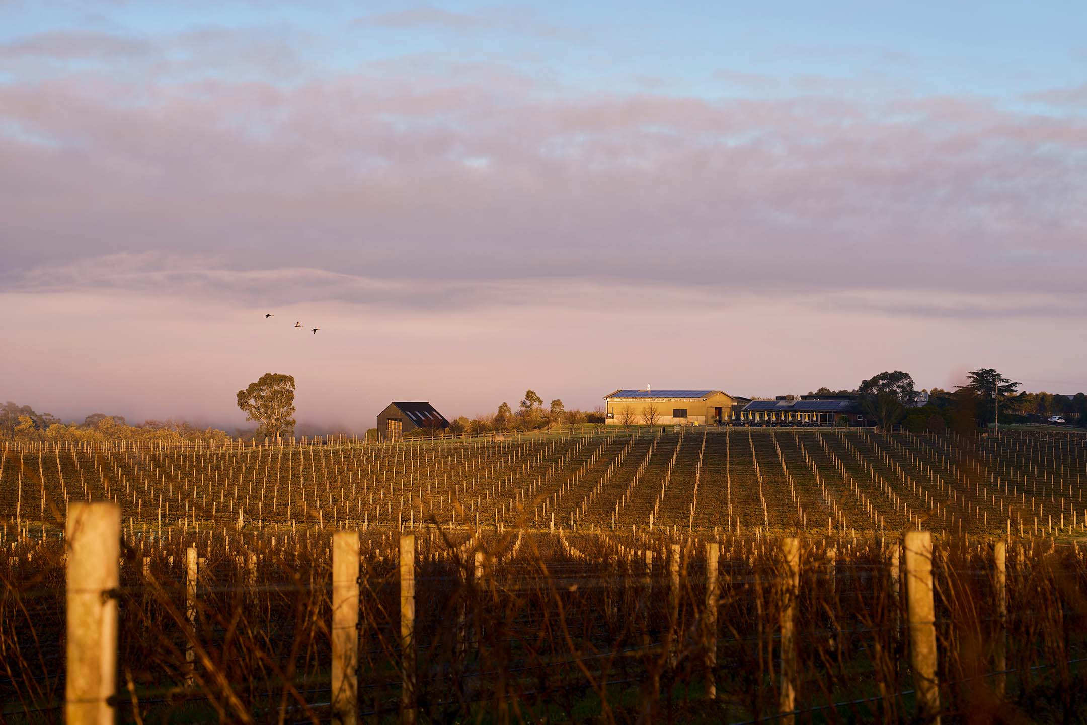 ZonzoEstate Winter