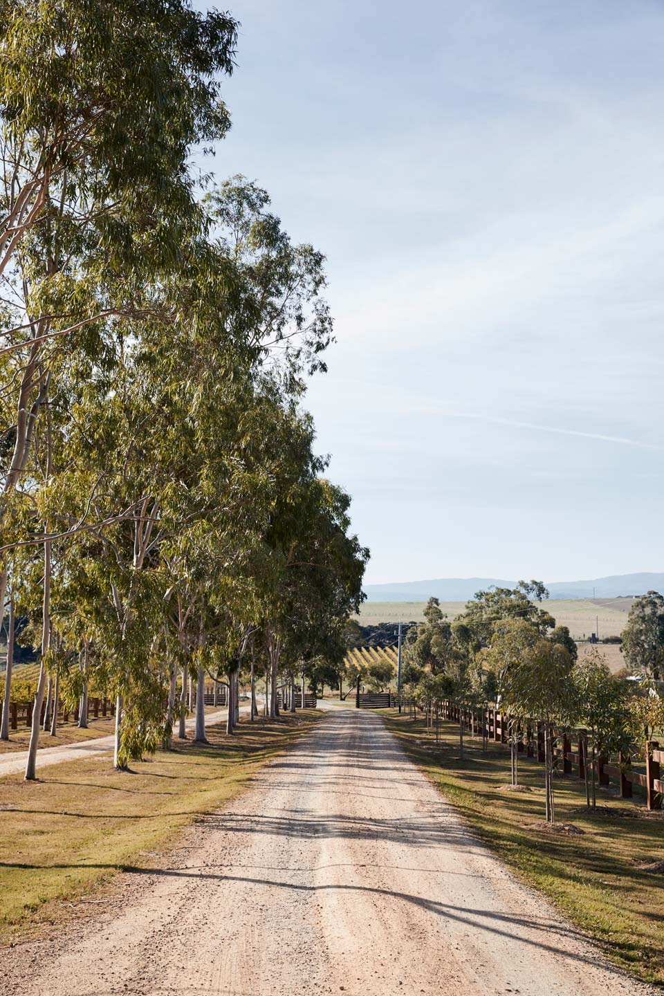 Zonzo Estate Driveway