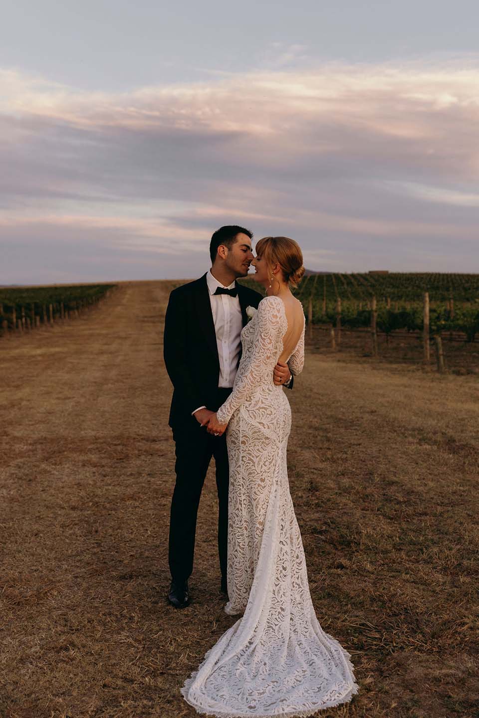 GoldenHour Vineyard ZonzoEstate