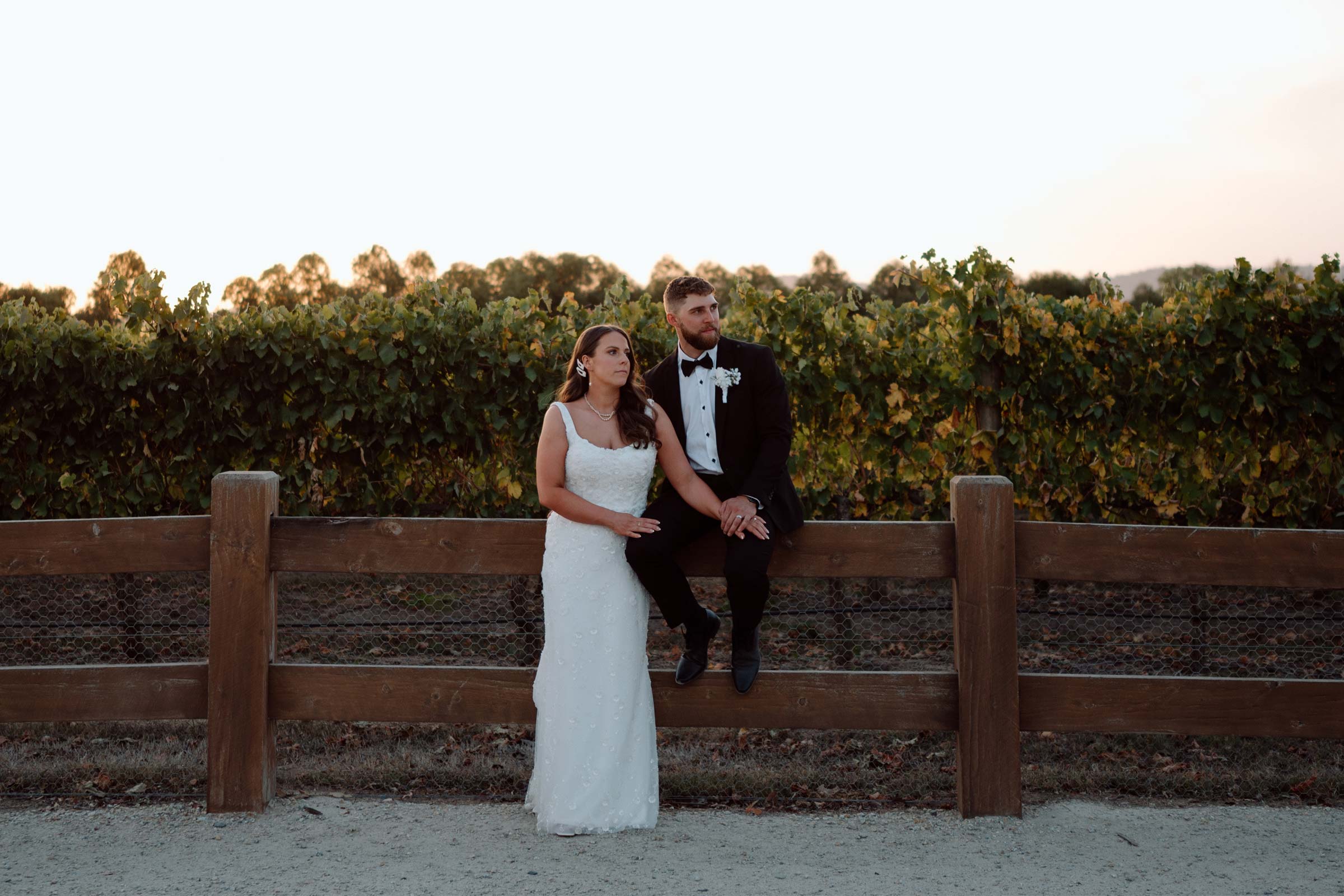 Zonzo Weddings Fenceline Vines